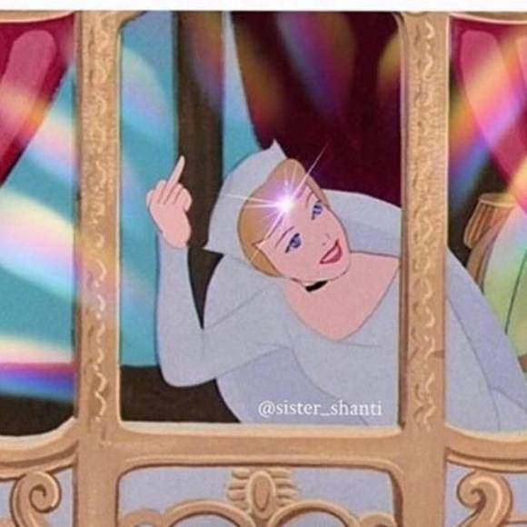 Meet your Posher, Taylor - Picture 1 of 1